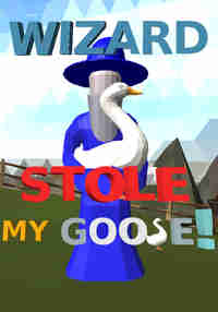 Wizard Stole My Goose