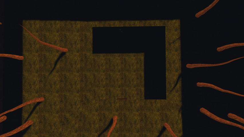 Visible Tag