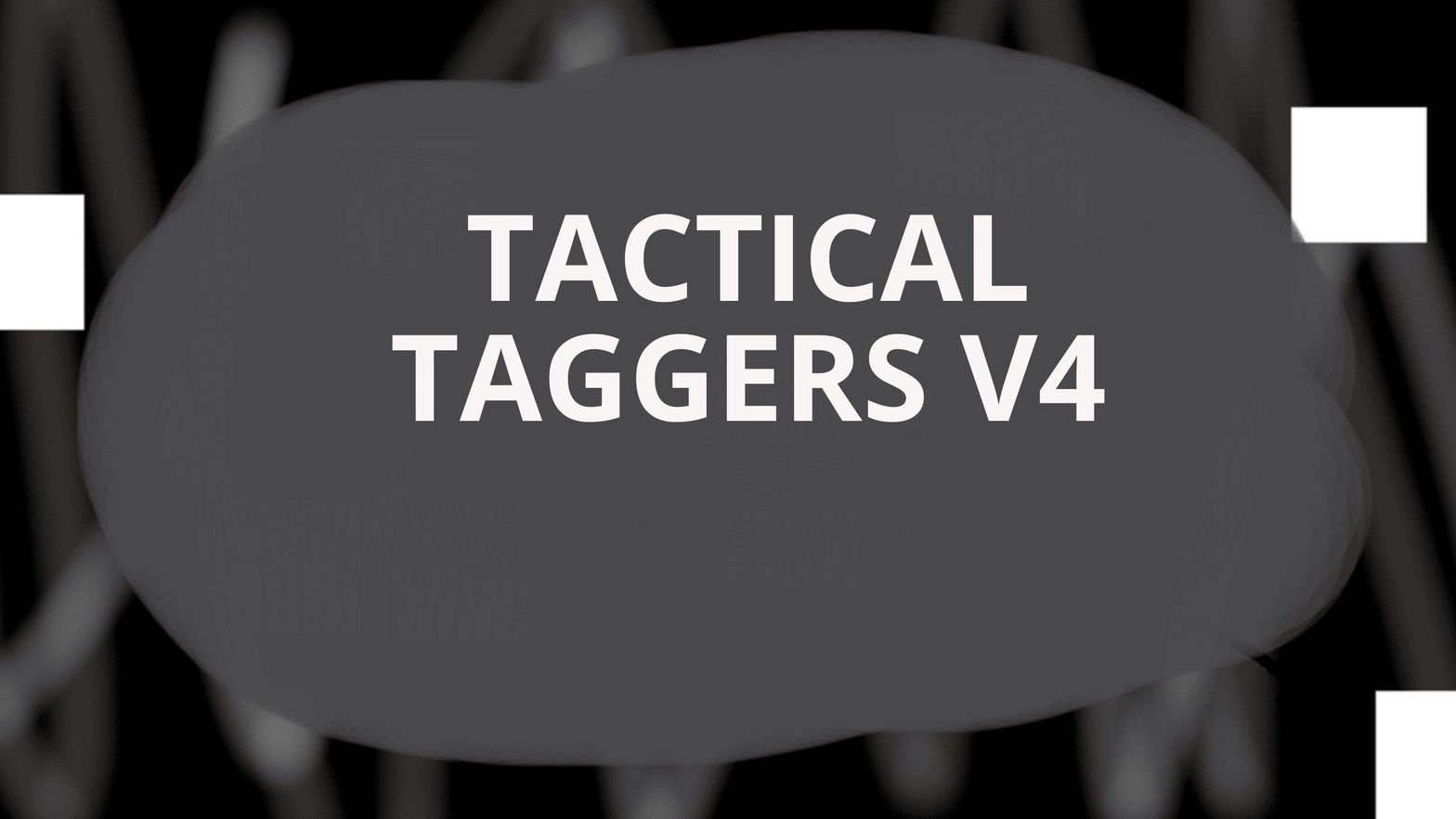 TACTICAL TAGGERS V4