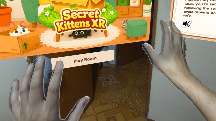 SecretKittensXR