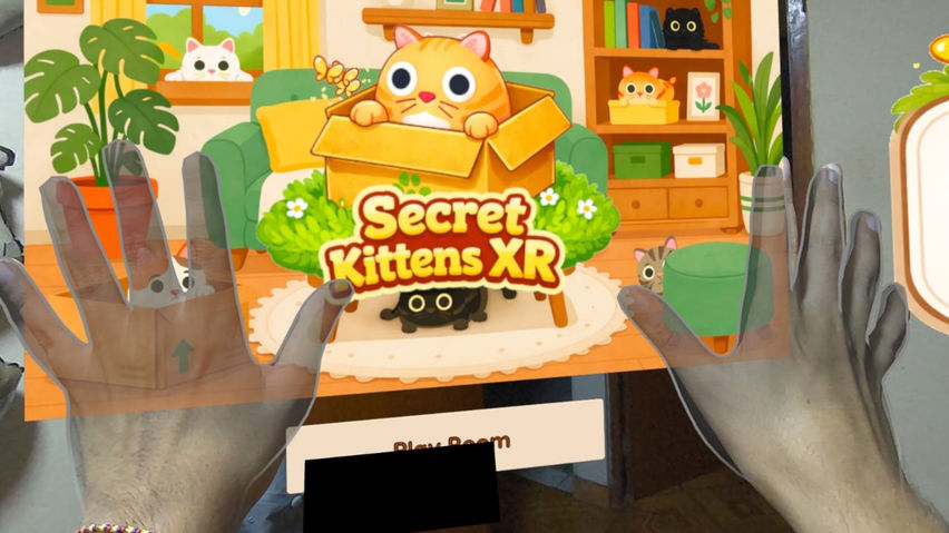 SecretKittensXR