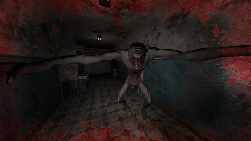 The Asylum