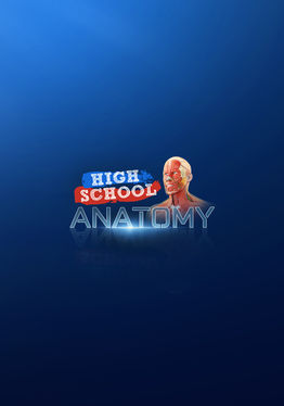High School Anatomy for Quest