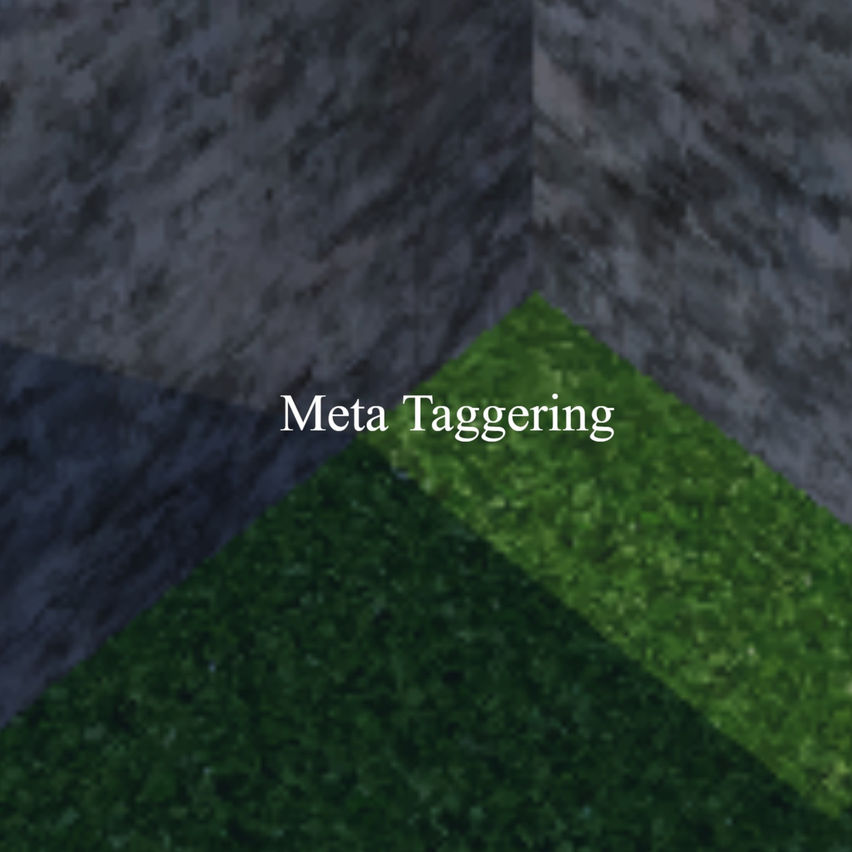Meta Taggering