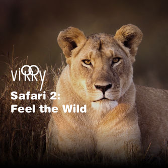 Virry Safari 2: Feel the Wild