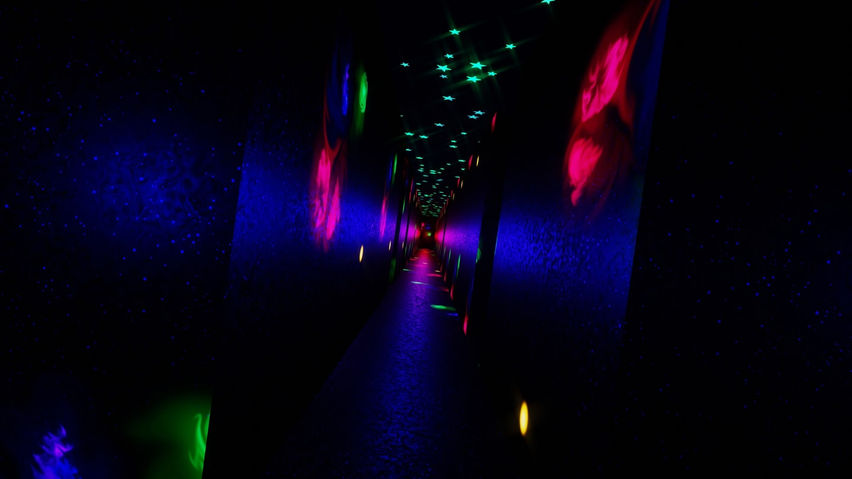 Fever Dream
