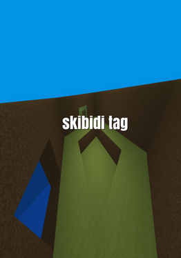 Skibidi Tag