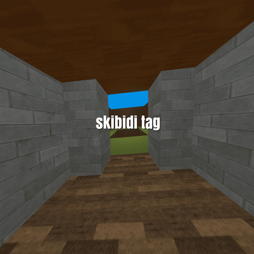 Skibidi Tag