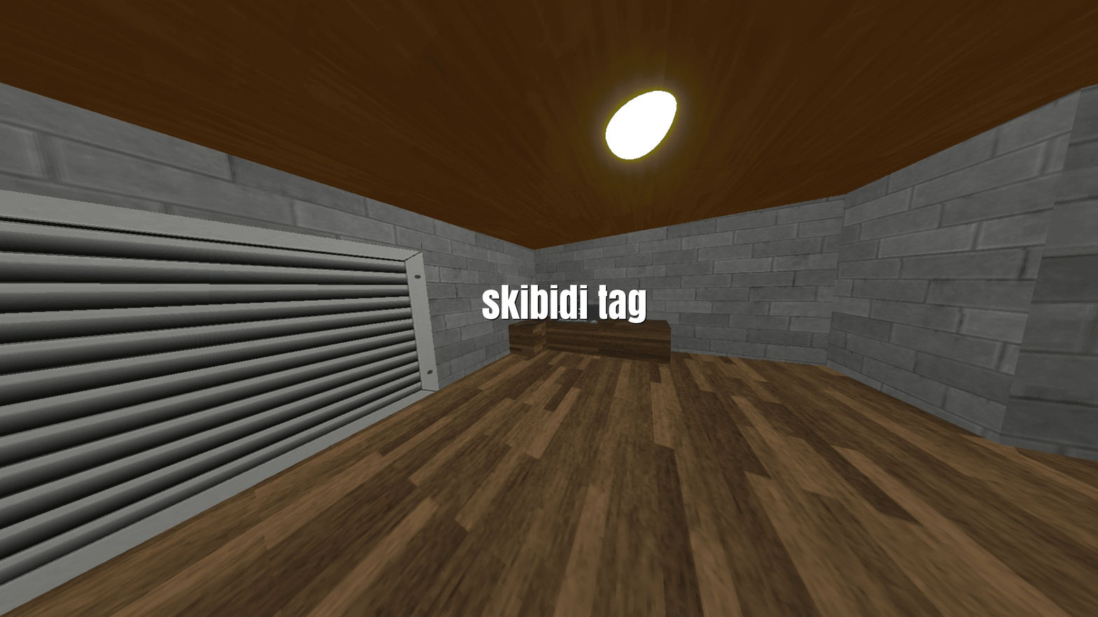 Skibidi Tag
