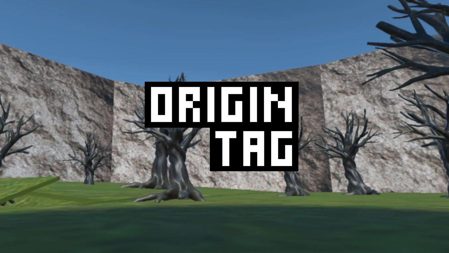 Origin Tag