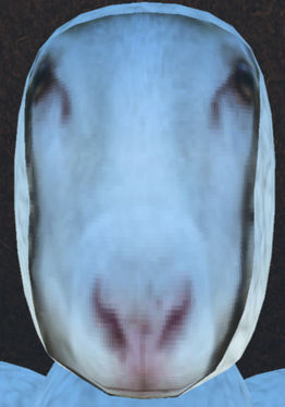Sheep Runners