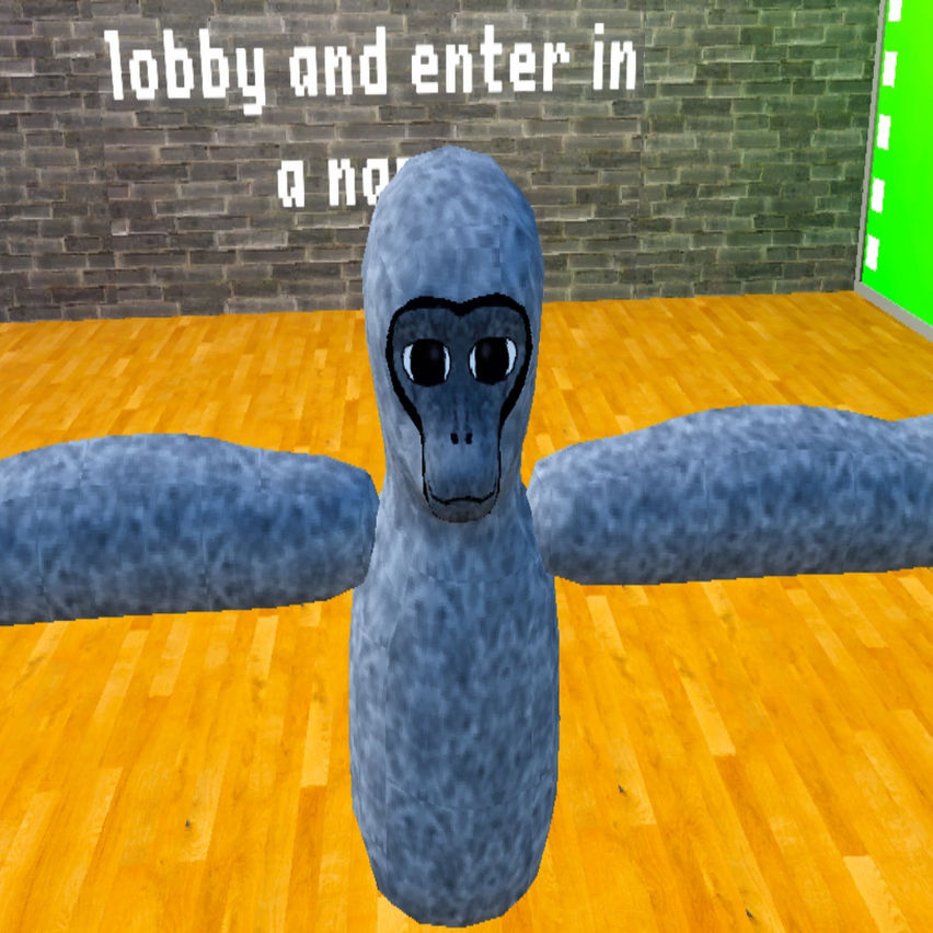Baboon Hub