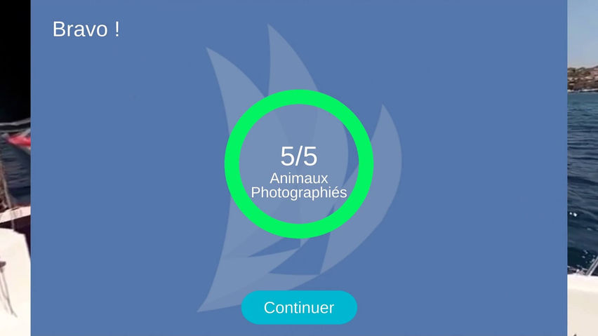 VigieVoile