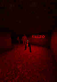 Kaizo