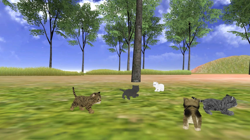Cat Island