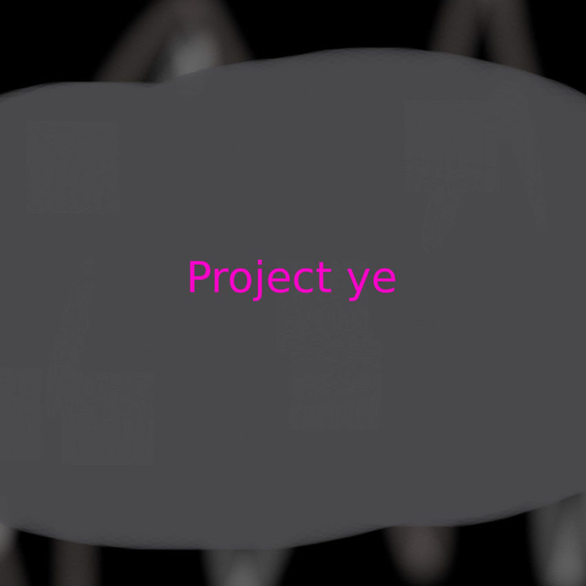 Project ye