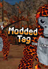 Modded Tag