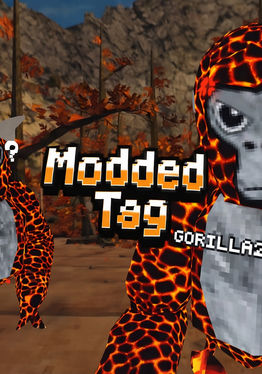 Modded Tag