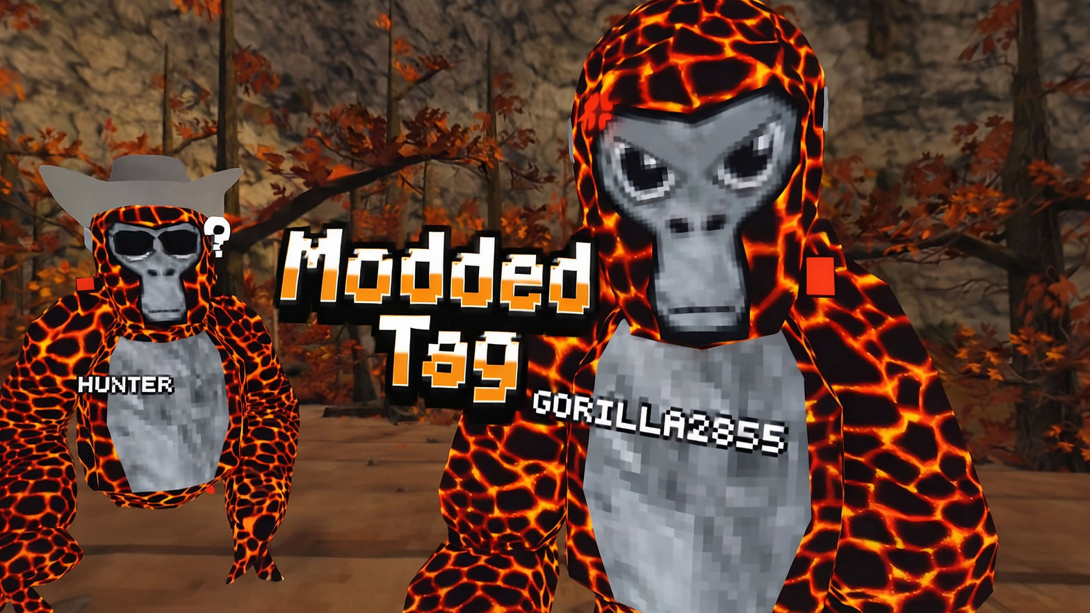 Modded Tag