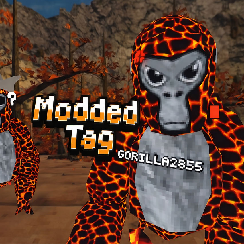 Modded Tag
