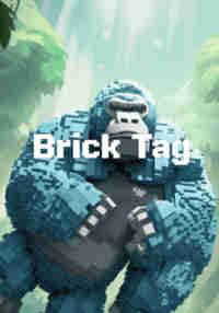Brick Tag