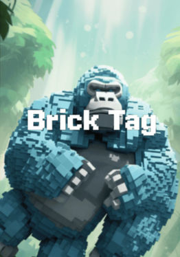 Brick Tag