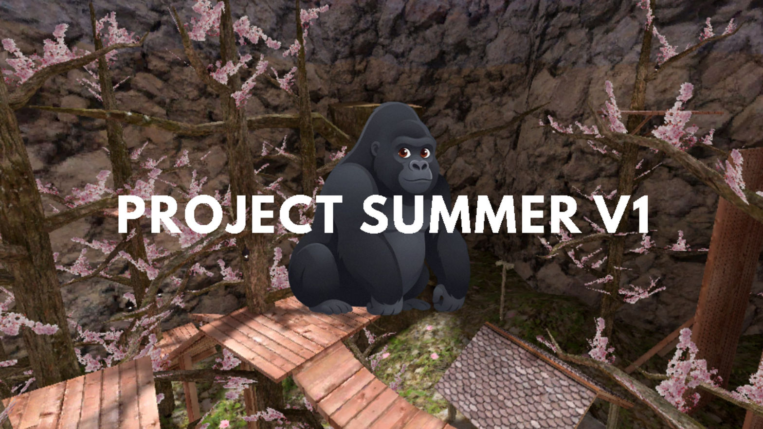 Project Summer V1