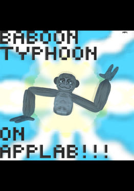 Baboon Typhoon