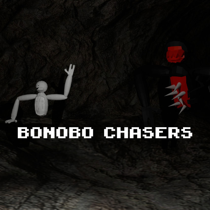 Bonobo Chasers