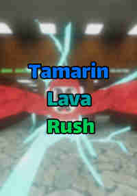 Tamarin Lava Rush VR