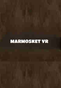 Marmosket VR