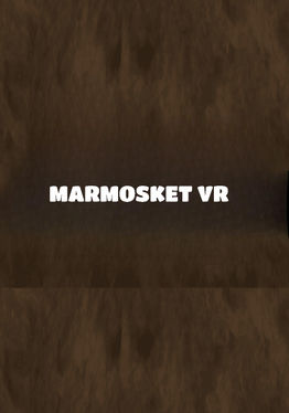 Marmosket VR
