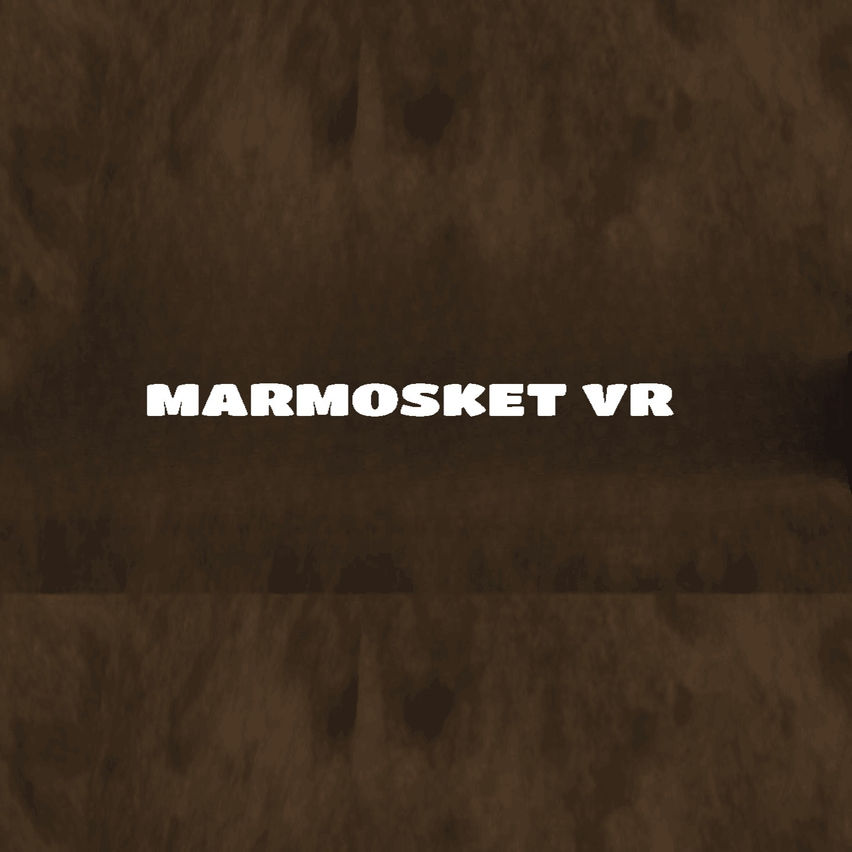 Marmosket VR