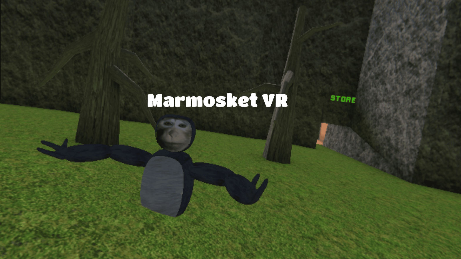 Marmosket VR