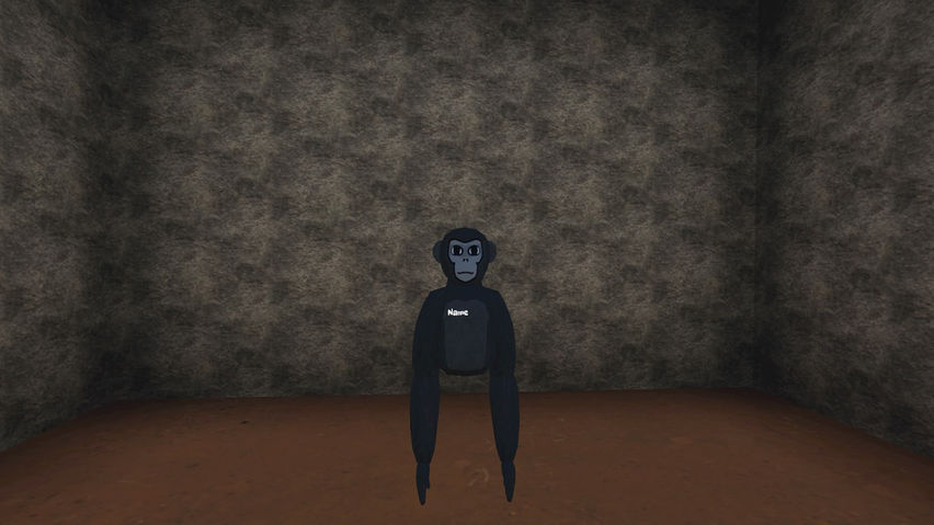 Fun Monkeys Place