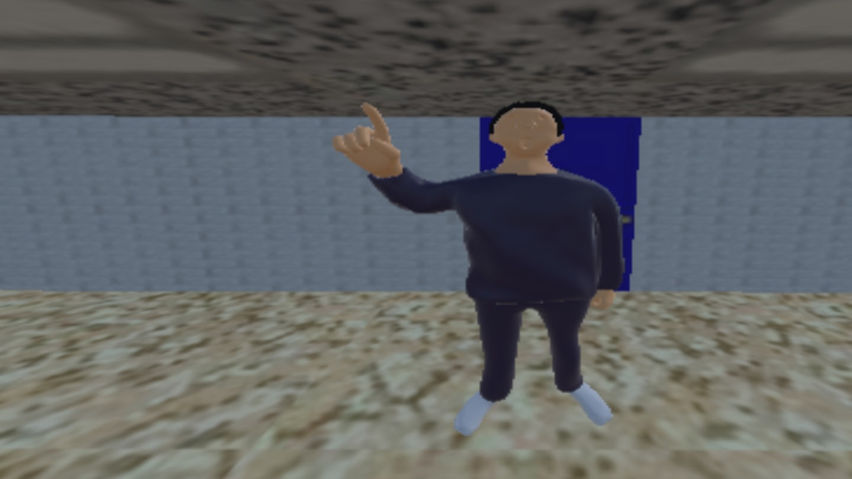 Baldi's Primates