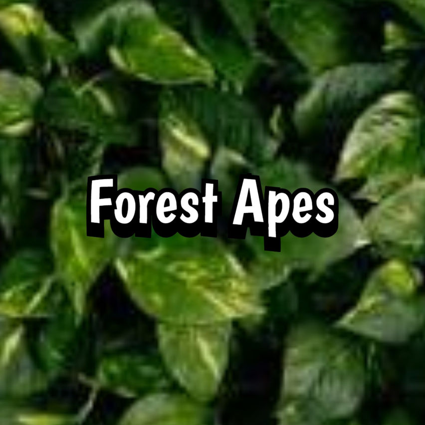 Forest Apes: Exploration
