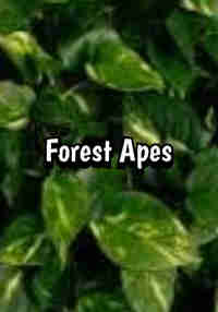 Forest Apes: Exploration