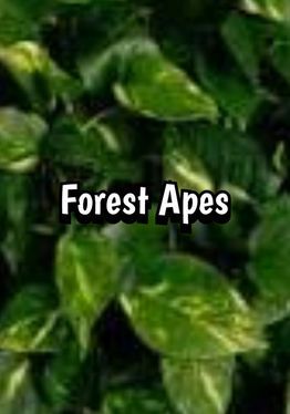 Forest Apes: Exploration
