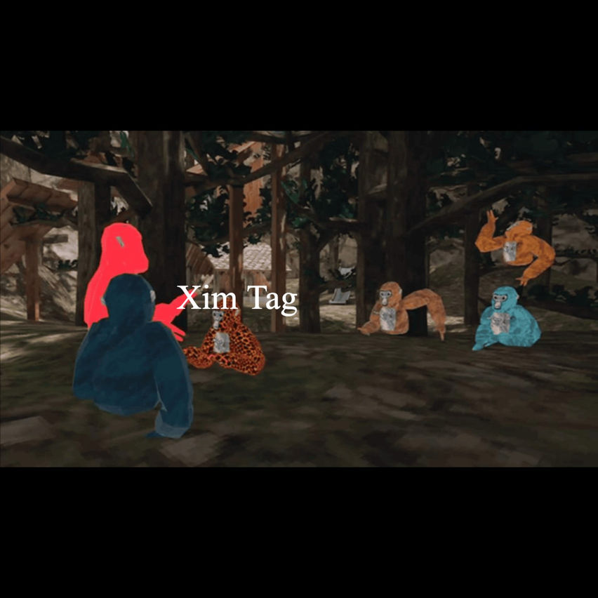 xim tag