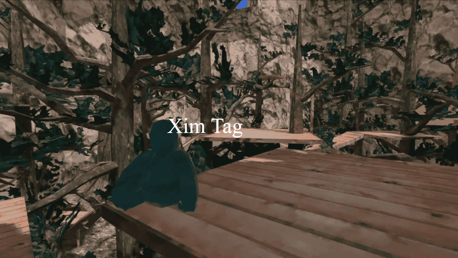 xim tag