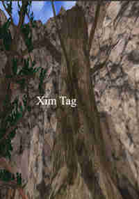 xim tag