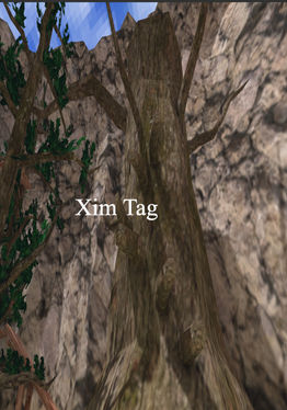 xim tag