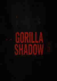 Gorilla Shadow