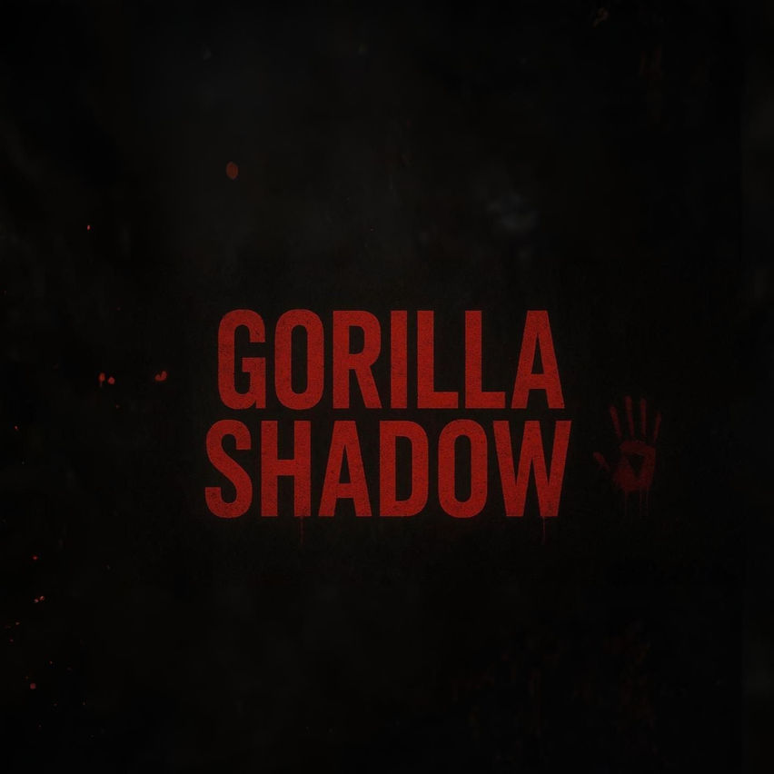 Gorilla Shadow