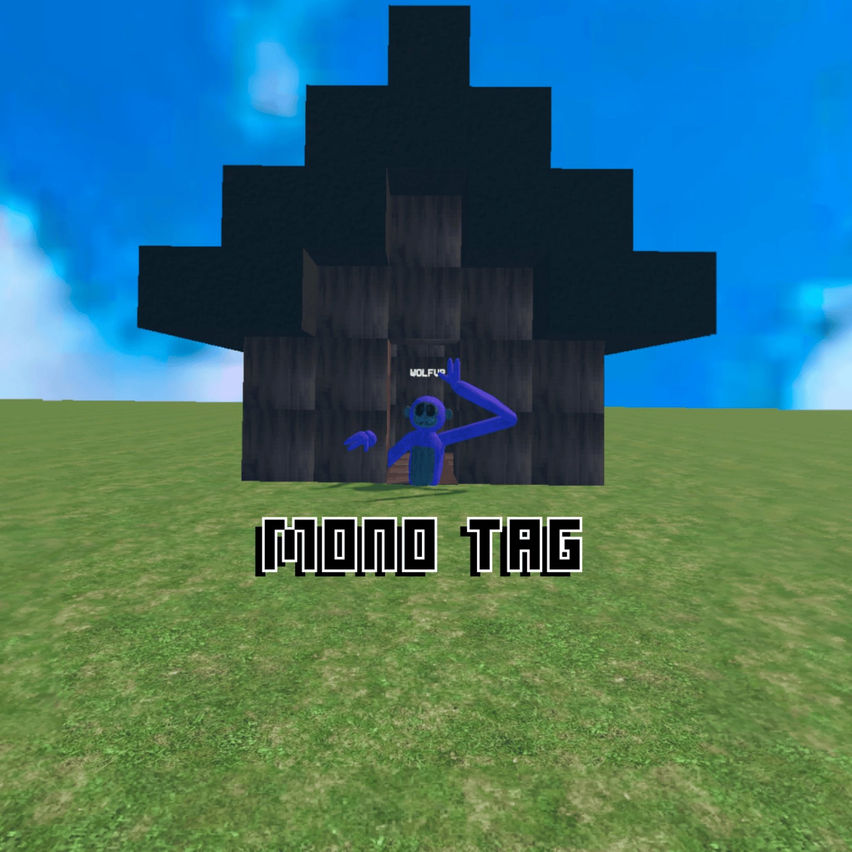 Mono Tag​