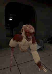 Underground VR