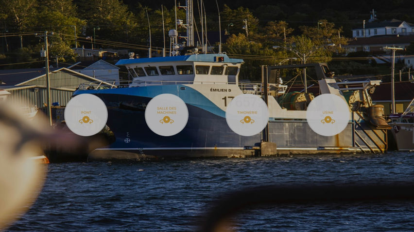 Des bateaux et des hommes