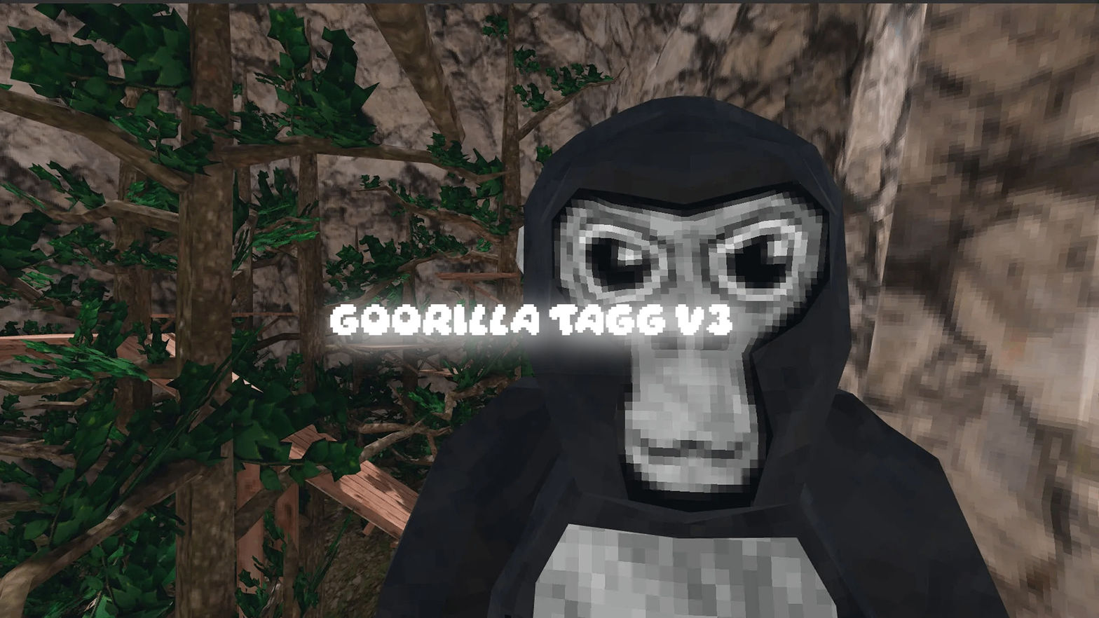 Goorilla Tagg V3