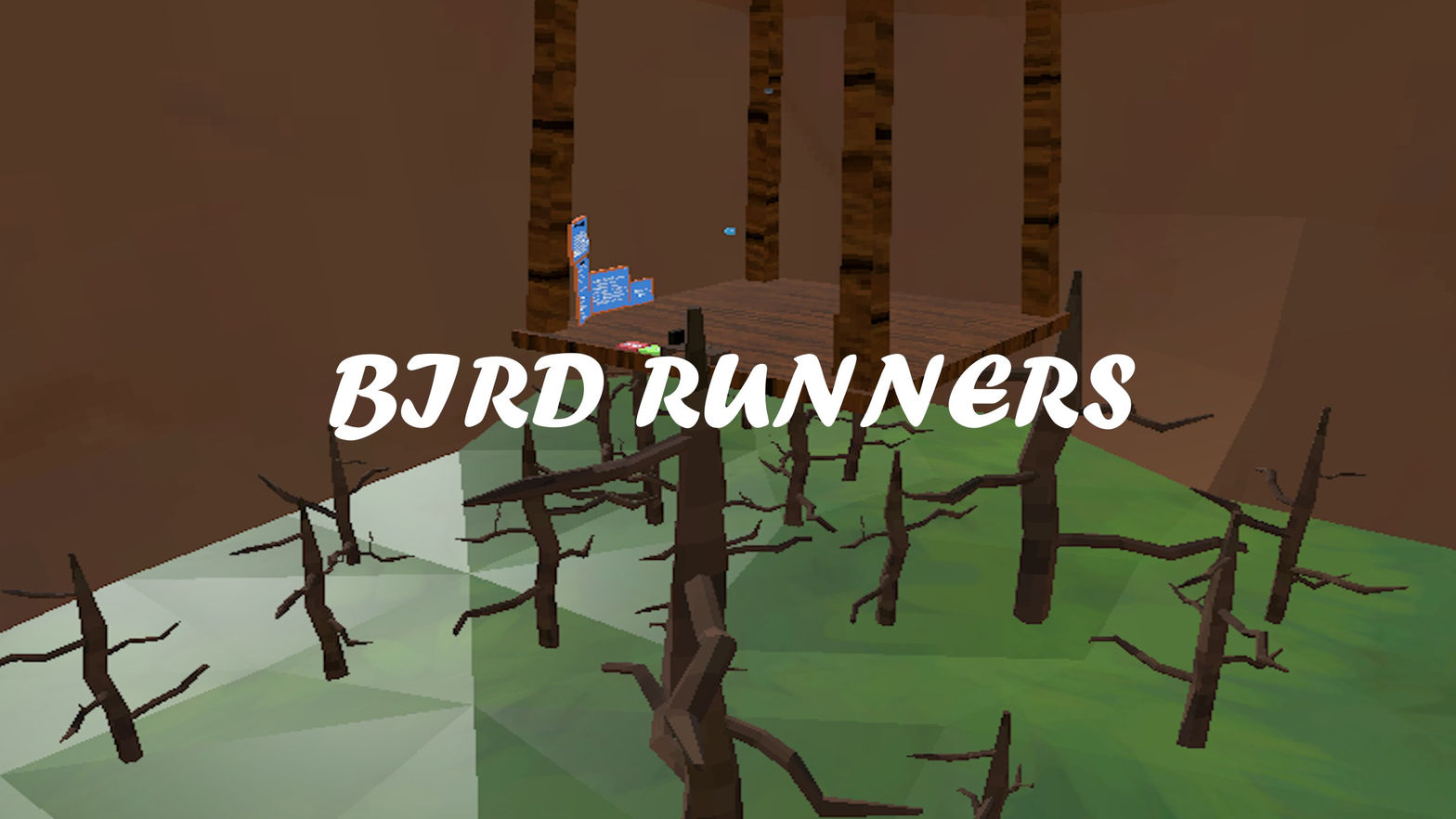 Bird Runners VR